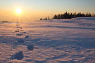 Fußspuren im Schnee, im Hintergrund geht die Sonne unter