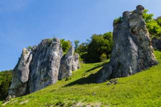 sudlicher-frankenjura-jurafelsen-adobestock-1726066046.jpeg