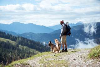 Mensch mit zwei Hunden an der Leine steht auf Bergweg